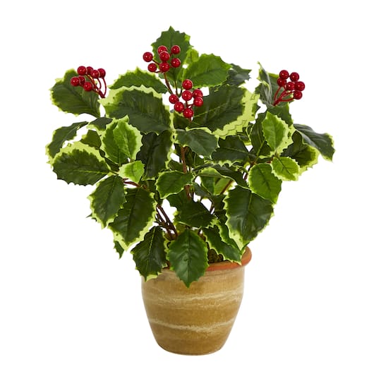 14&#x22; Variegated Holly Plant in Ceramic Planter